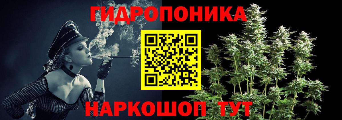 МАРИХУАНА сатива Борзя